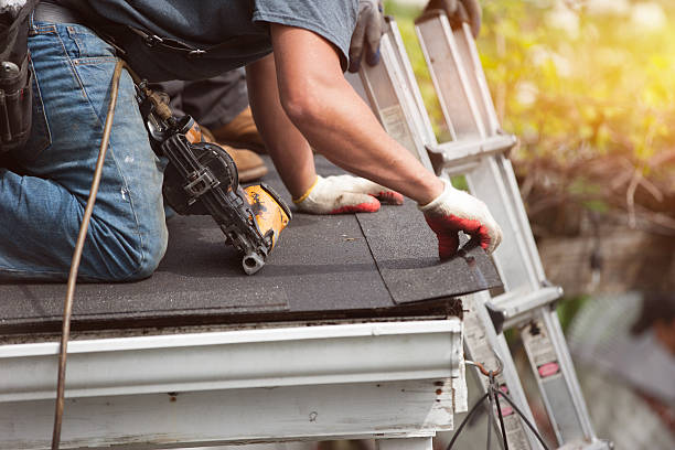 Professional Roofing Contractor in Diamond Ridge, AK